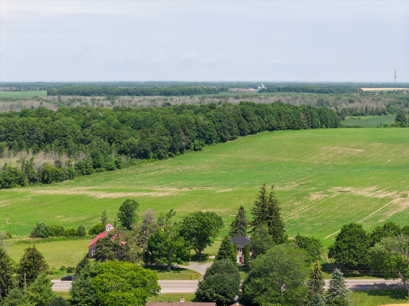 Fields rising to the treeline behind the buildings
